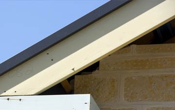 Newliston fascia repairs